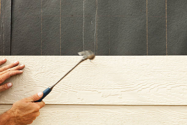 Affordable Siding Repair and Maintenance Services in Powell, TN
